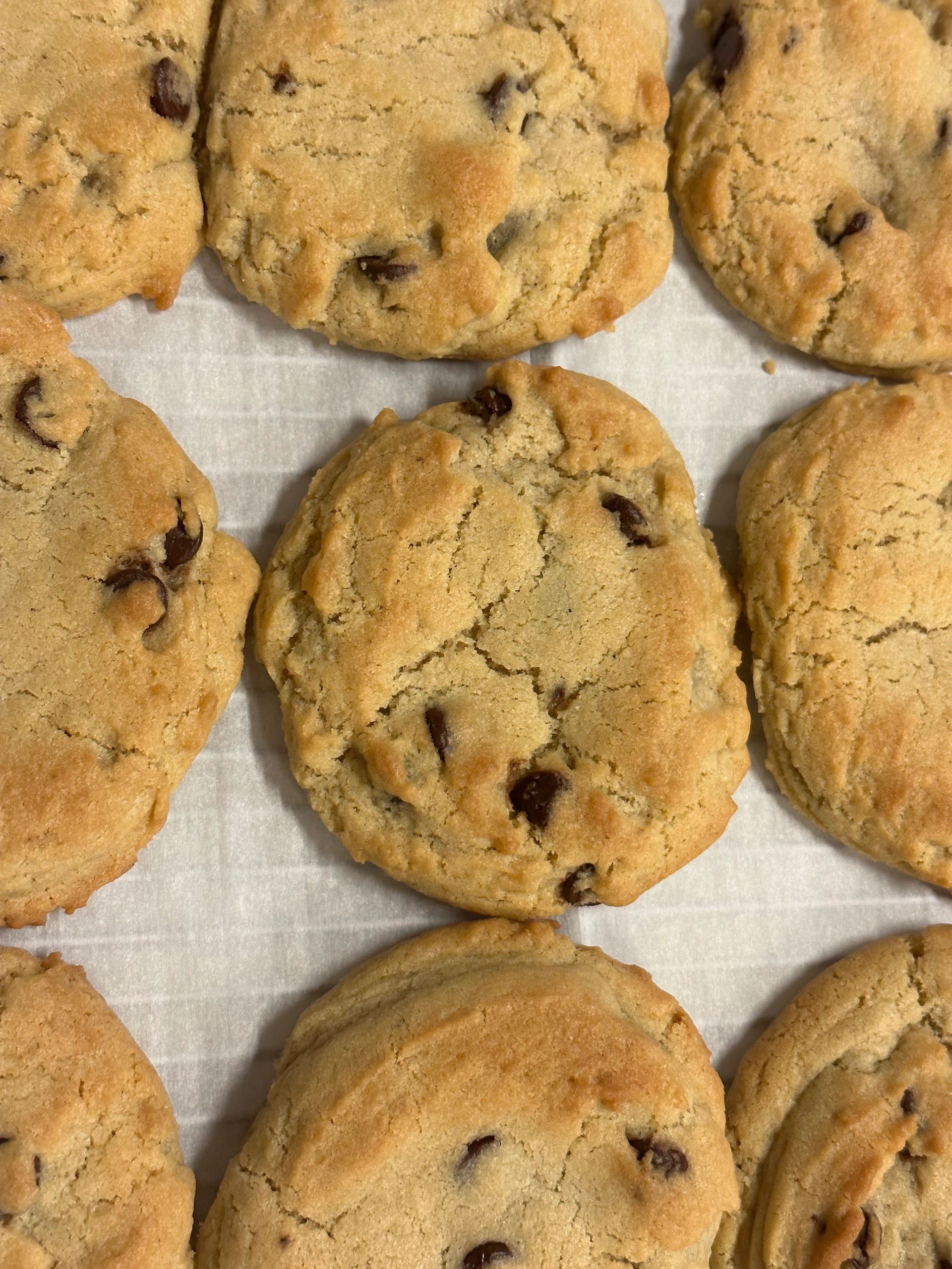 Freshly baked chocolate chip cookies